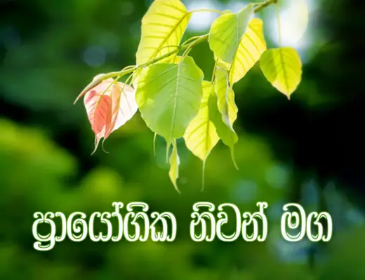 ප්‍රායෝගික නිවන් මග